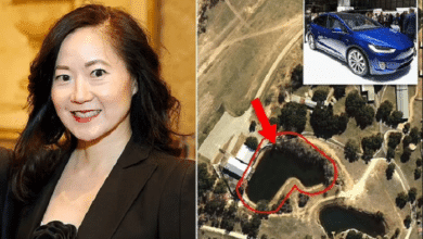 angela chao car accident