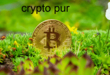 Crypto Pur