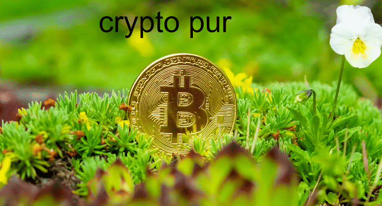 Crypto Pur